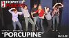 Porcupine (06.10.09)