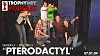 Pterodactyl (07.01.09)