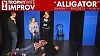 Alligator (10.26.11)