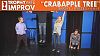 Crabapple Tree (06.11.13)